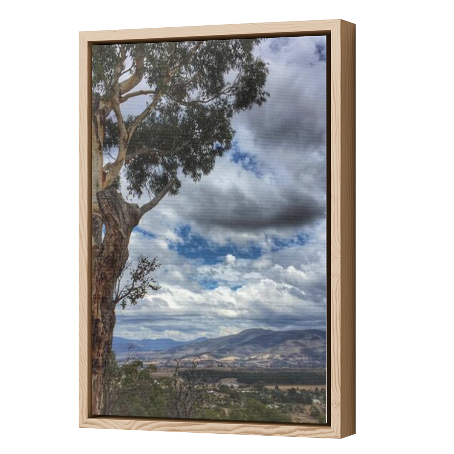 Thumbnail for Canvas - Wood Grain Floating Frame