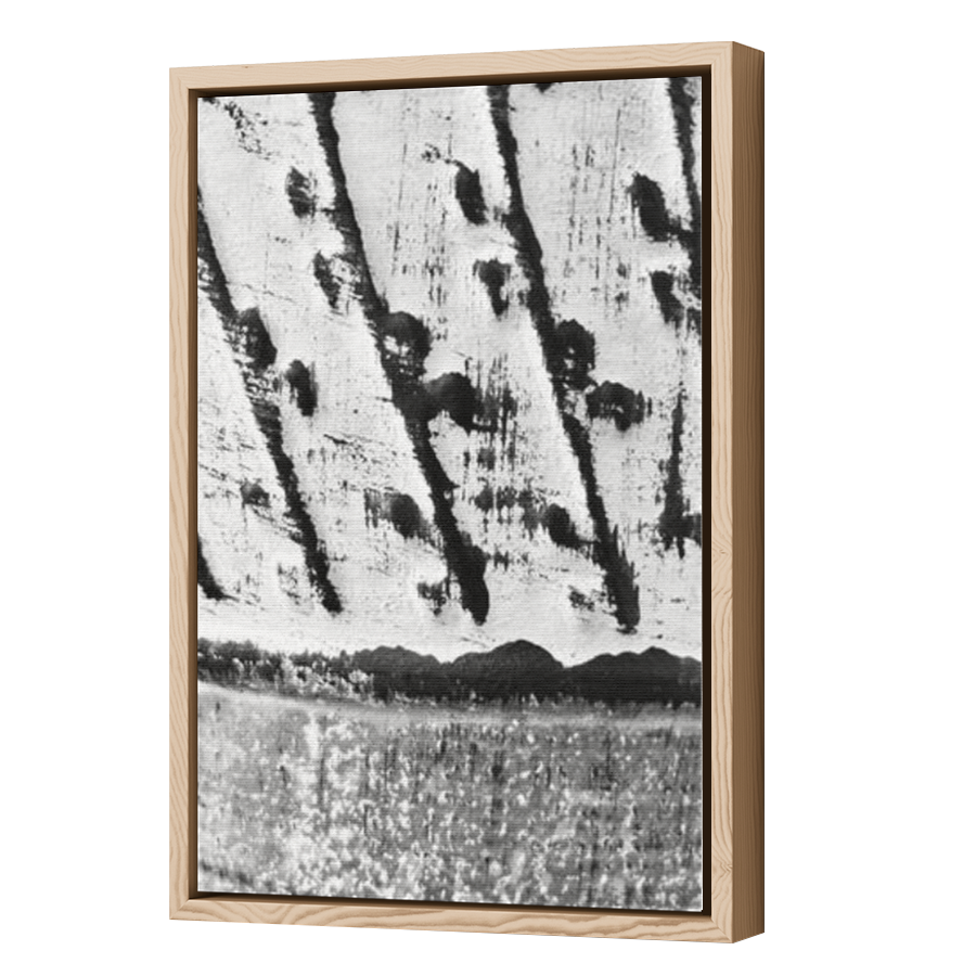 Thumbnail for Canvas - Wood Grain Floating Frame