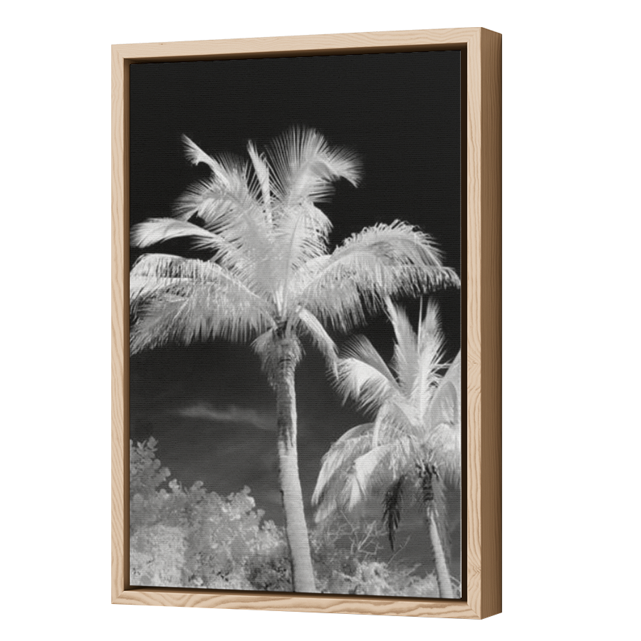 Thumbnail for Canvas - Wood Grain Floating Frame