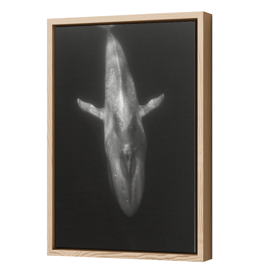 Thumbnail for Canvas - Wood Grain Floating Frame