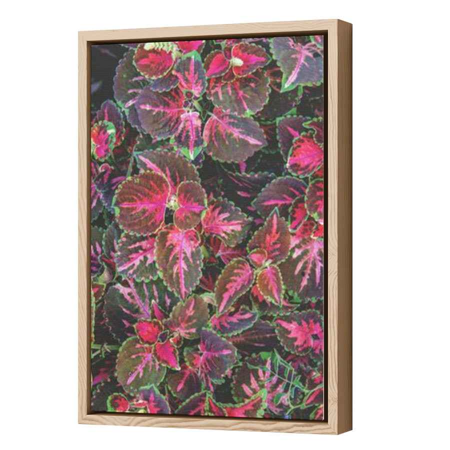 Thumbnail for Canvas - Wood Grain Floating Frame