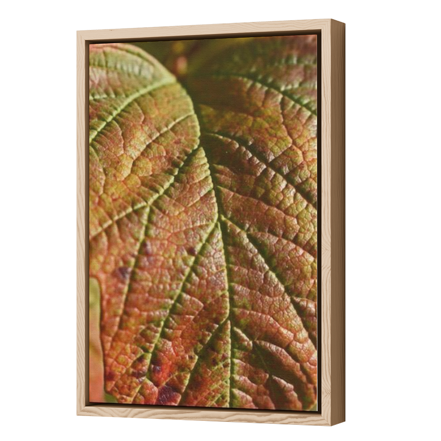 Thumbnail for Canvas - Wood Grain Floating Frame