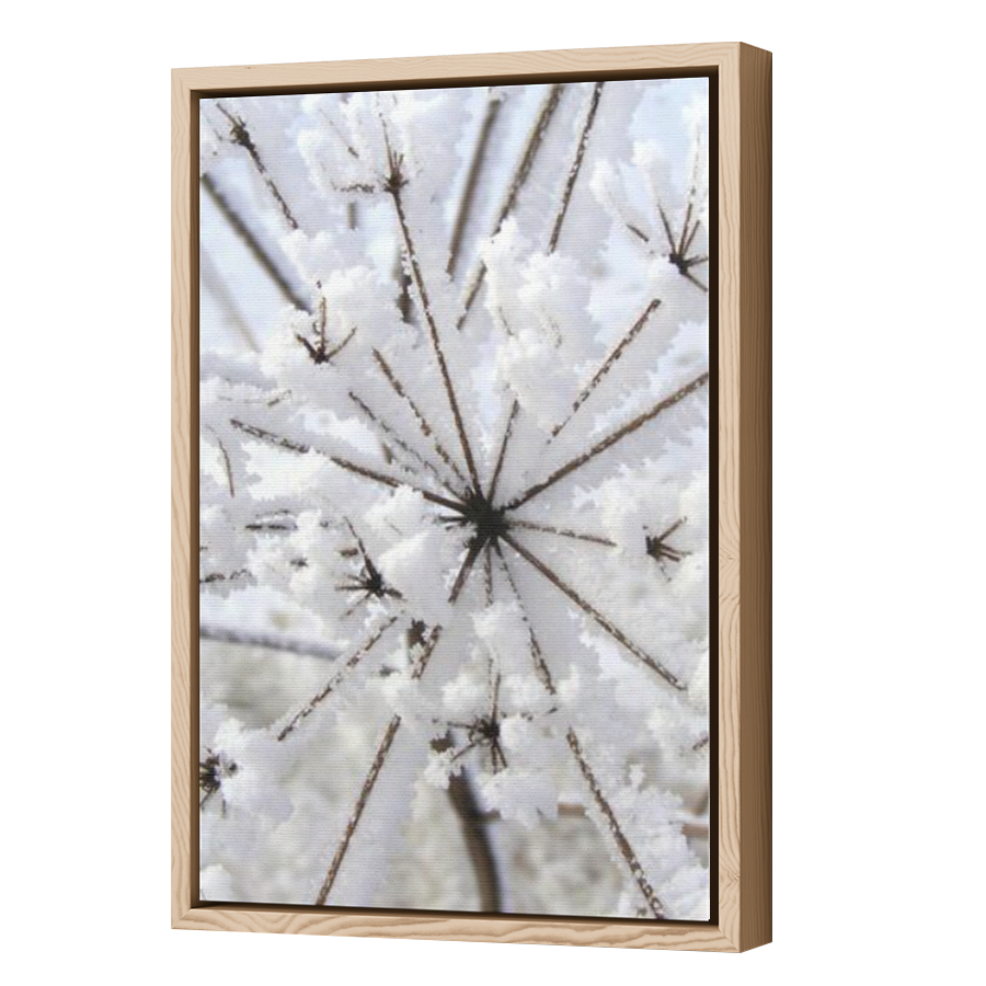 Thumbnail for Canvas - Wood Grain Floating Frame