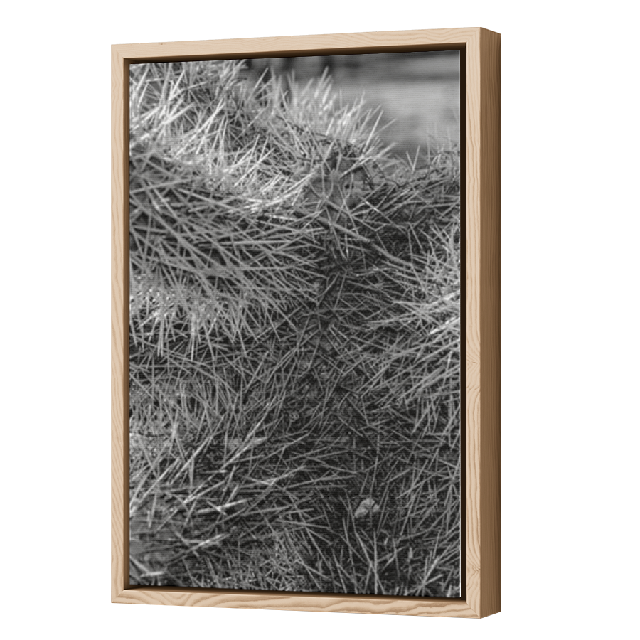 Thumbnail for Canvas - Wood Grain Floating Frame
