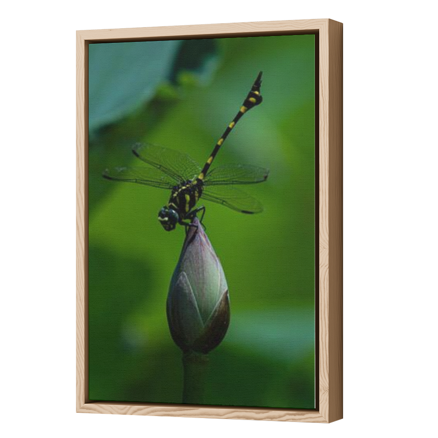 Thumbnail for Canvas - Wood Grain Floating Frame