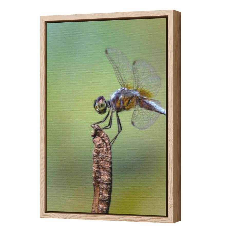 Thumbnail for Canvas - Wood Grain Floating Frame