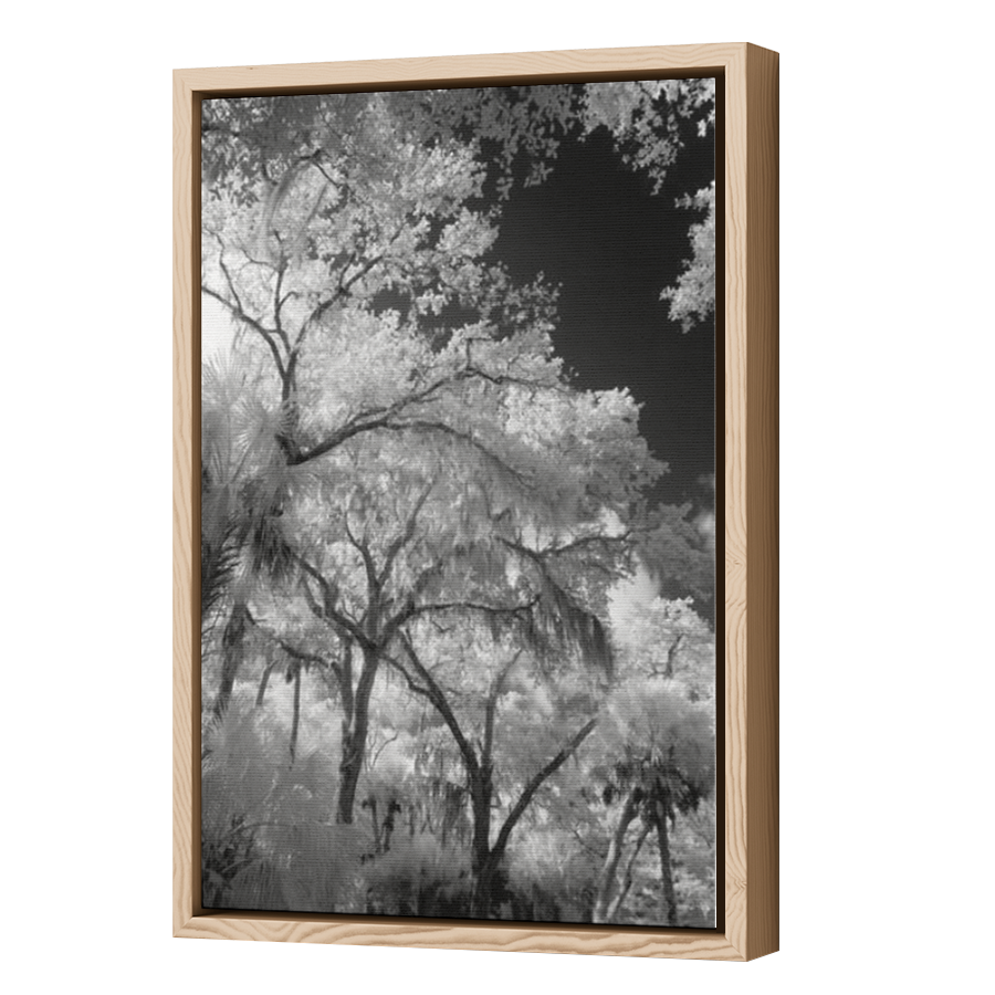 Thumbnail for Canvas - Wood Grain Floating Frame