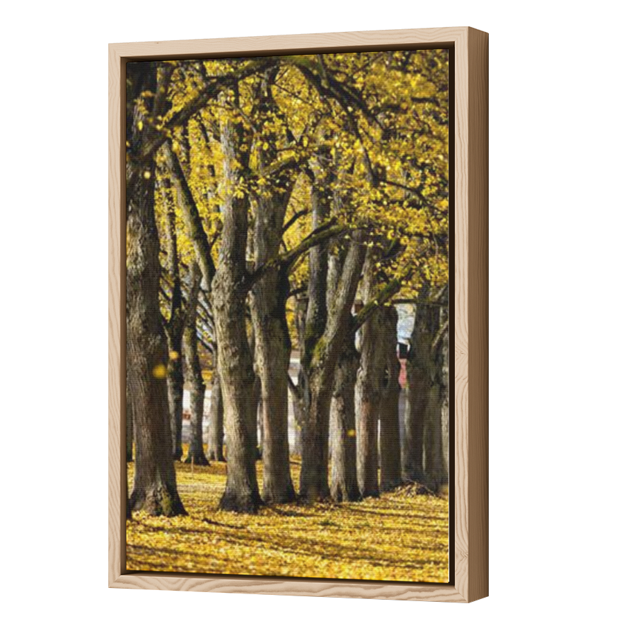 Thumbnail for Canvas - Wood Grain Floating Frame