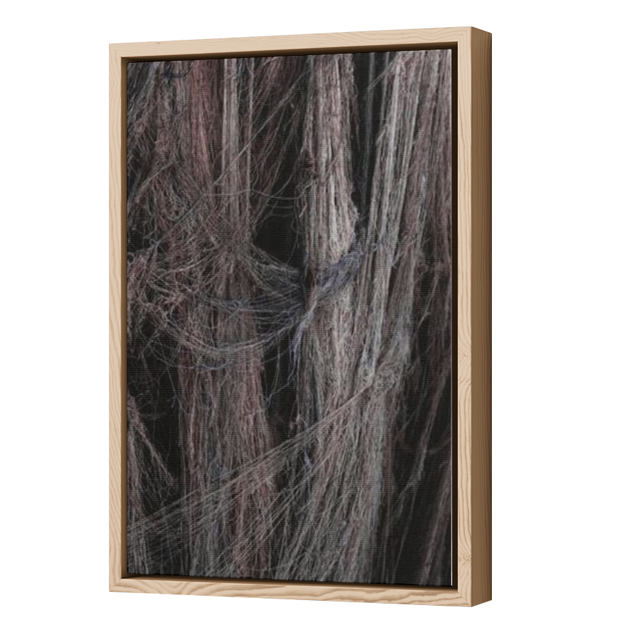 Thumbnail for Canvas - Wood Grain Floating Frame