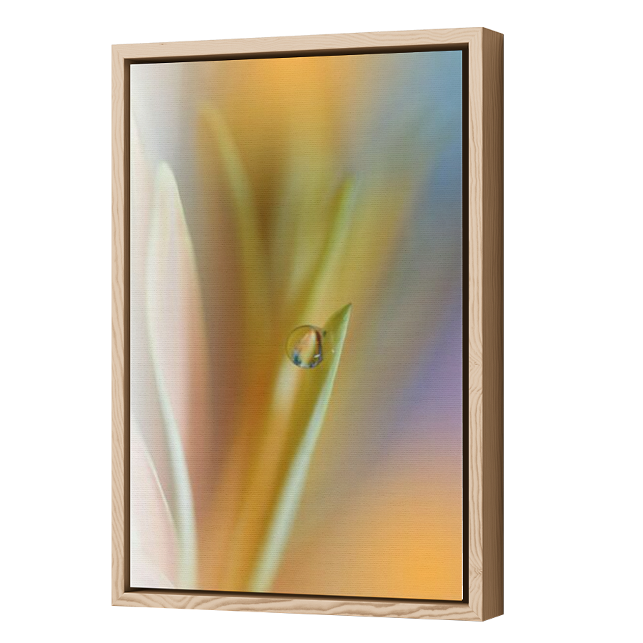 Thumbnail for Canvas - Wood Grain Floating Frame