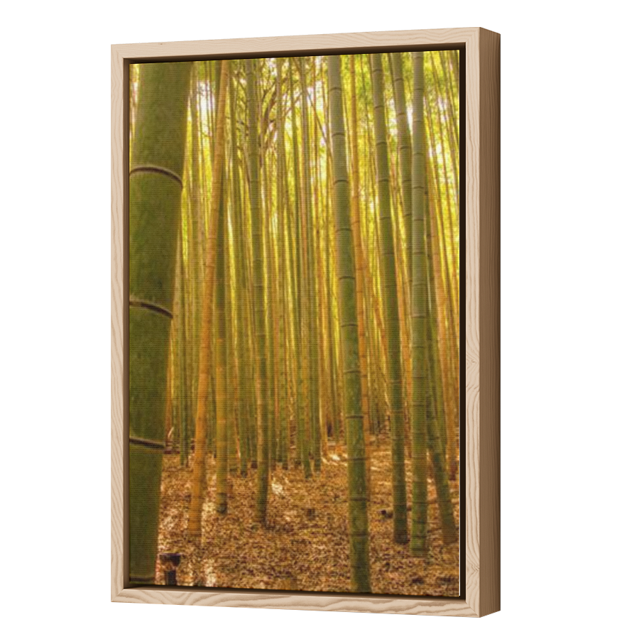 Thumbnail for Canvas - Wood Grain Floating Frame