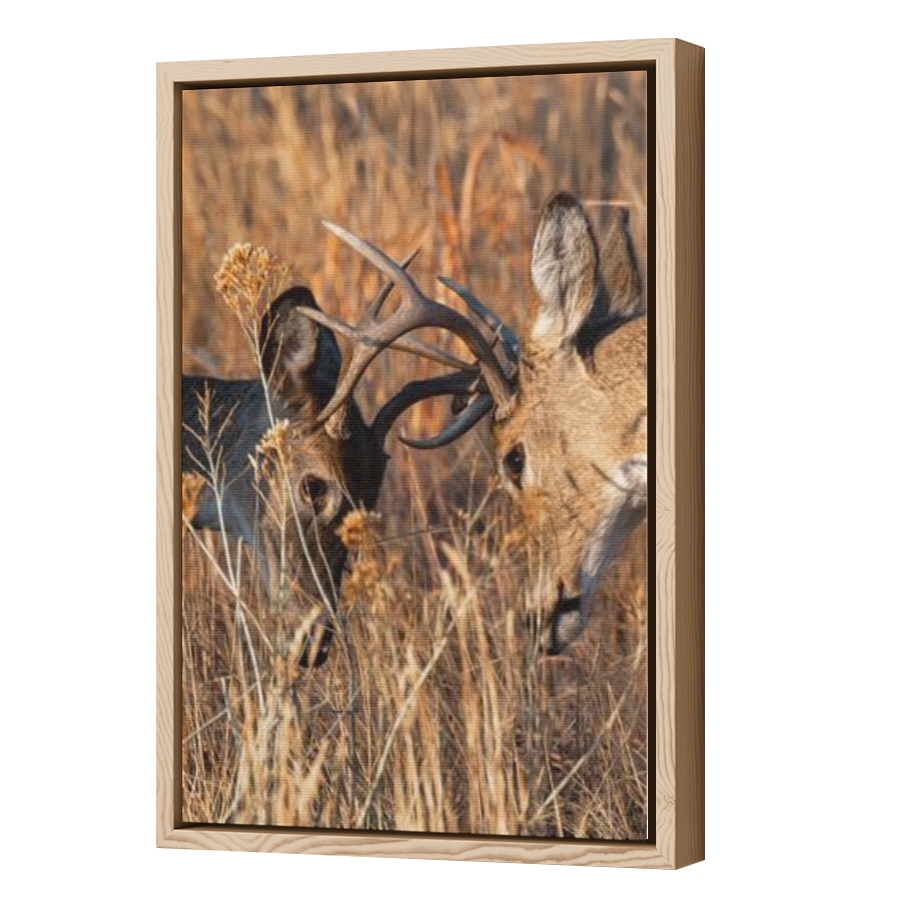 Thumbnail for Canvas - Wood Grain Floating Frame