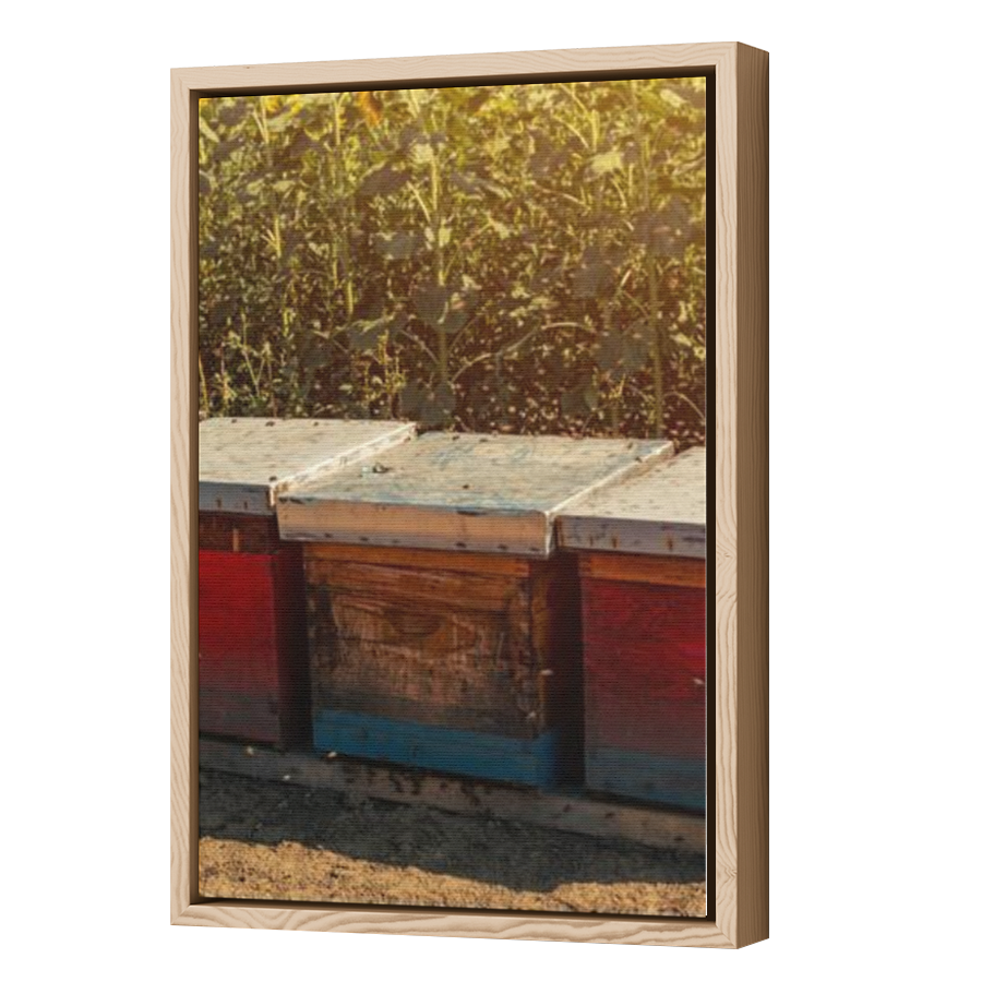 Thumbnail for Canvas - Wood Grain Floating Frame