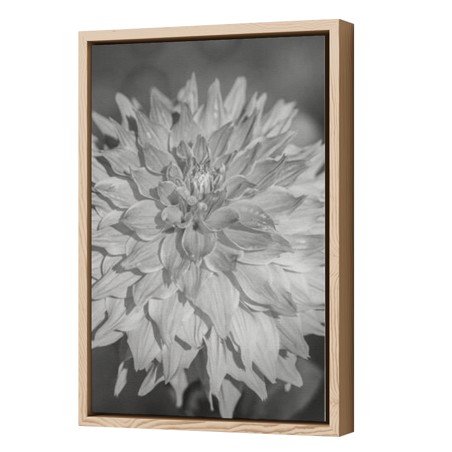 Thumbnail for Canvas - Wood Grain Floating Frame