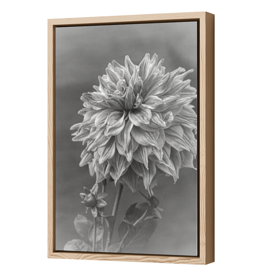 Thumbnail for Canvas - Wood Grain Floating Frame