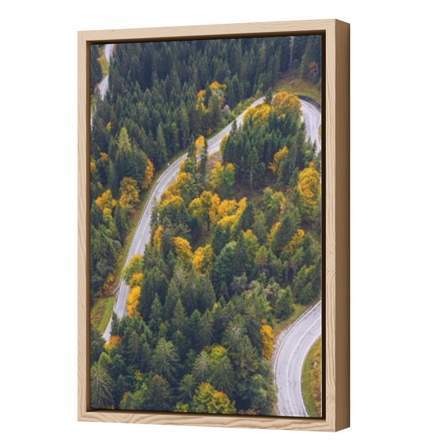 Thumbnail for Canvas - Wood Grain Floating Frame