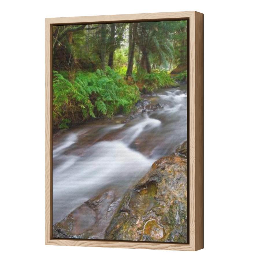 Thumbnail for Canvas - Wood Grain Floating Frame