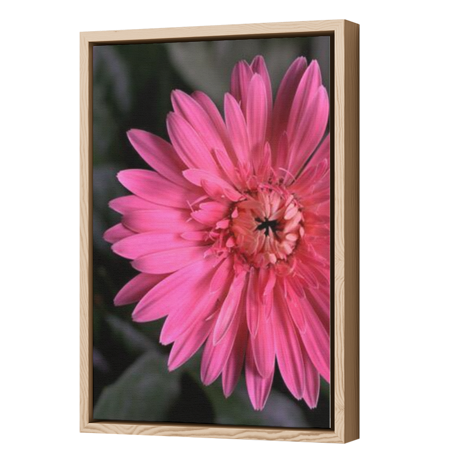 Thumbnail for Canvas - Wood Grain Floating Frame