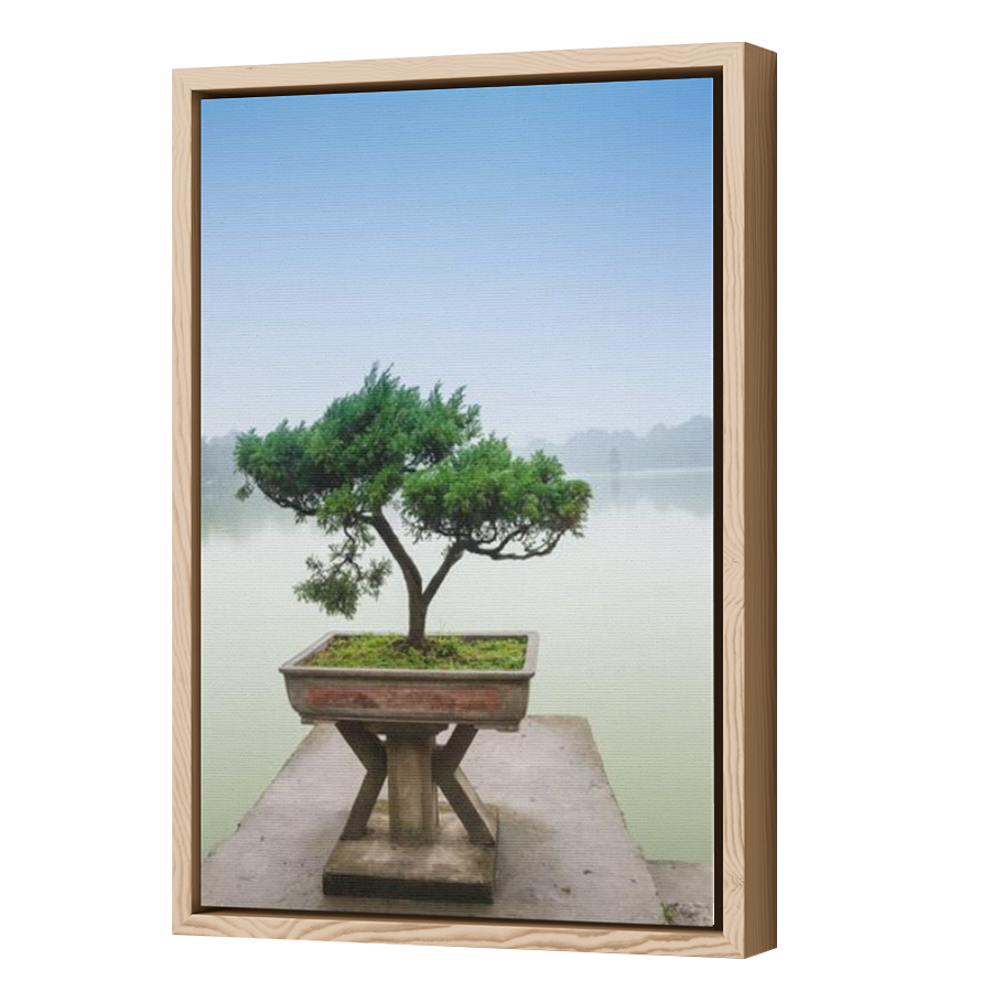 Thumbnail for Canvas - Wood Grain Floating Frame