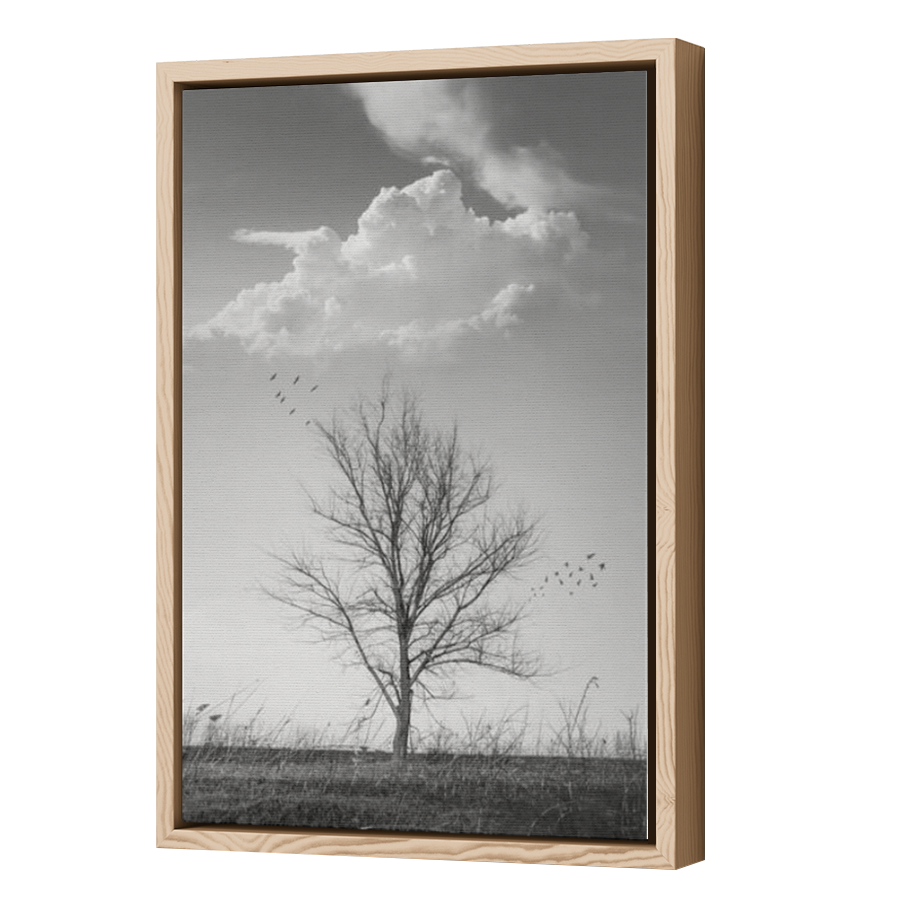 Thumbnail for Canvas - Wood Grain Floating Frame