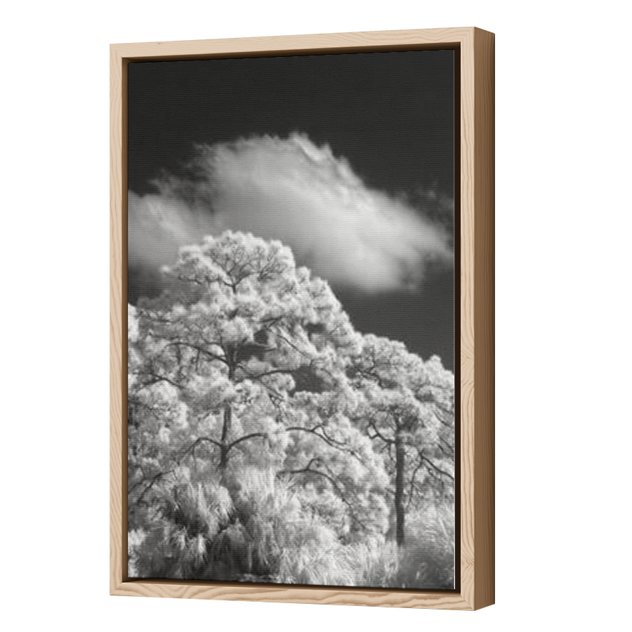 Thumbnail for Canvas - Wood Grain Floating Frame