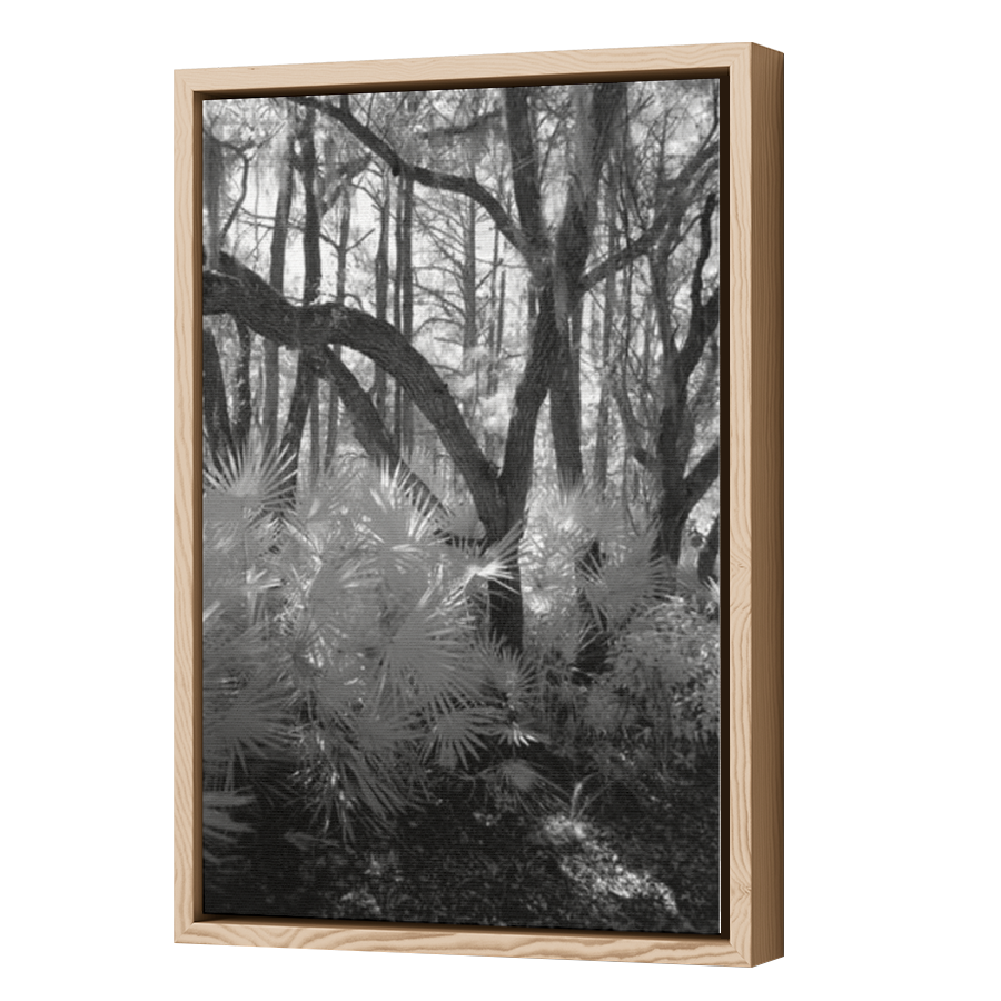 Thumbnail for Canvas - Wood Grain Floating Frame