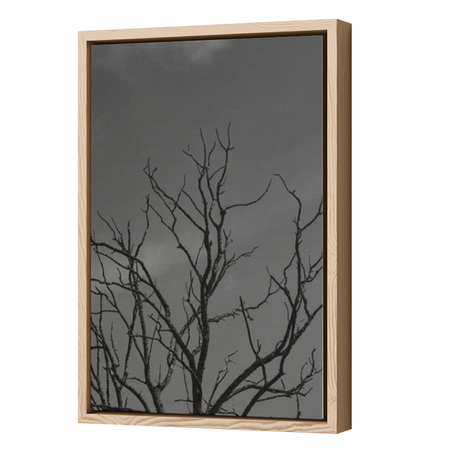 Thumbnail for Canvas - Wood Grain Floating Frame