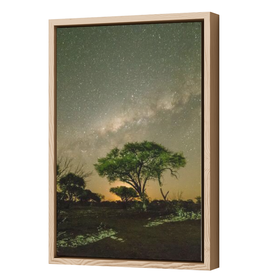 Thumbnail for Canvas - Wood Grain Floating Frame