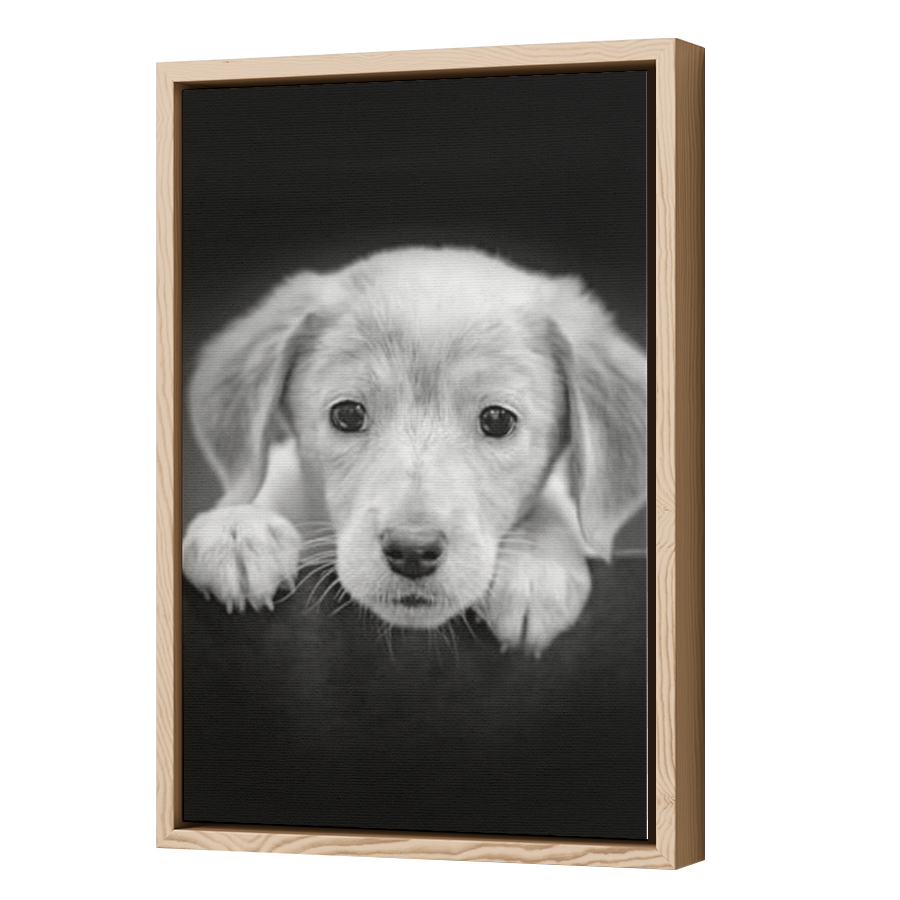 Thumbnail for Canvas - Wood Grain Floating Frame