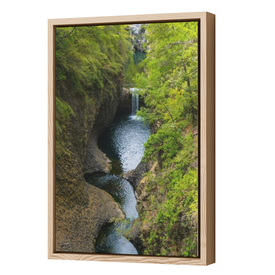 Thumbnail for Canvas - Wood Grain Floating Frame
