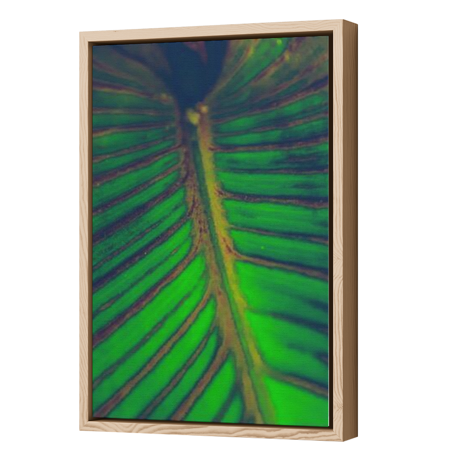 Thumbnail for Canvas - Wood Grain Floating Frame