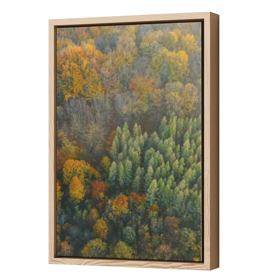 Thumbnail for Canvas - Wood Grain Floating Frame