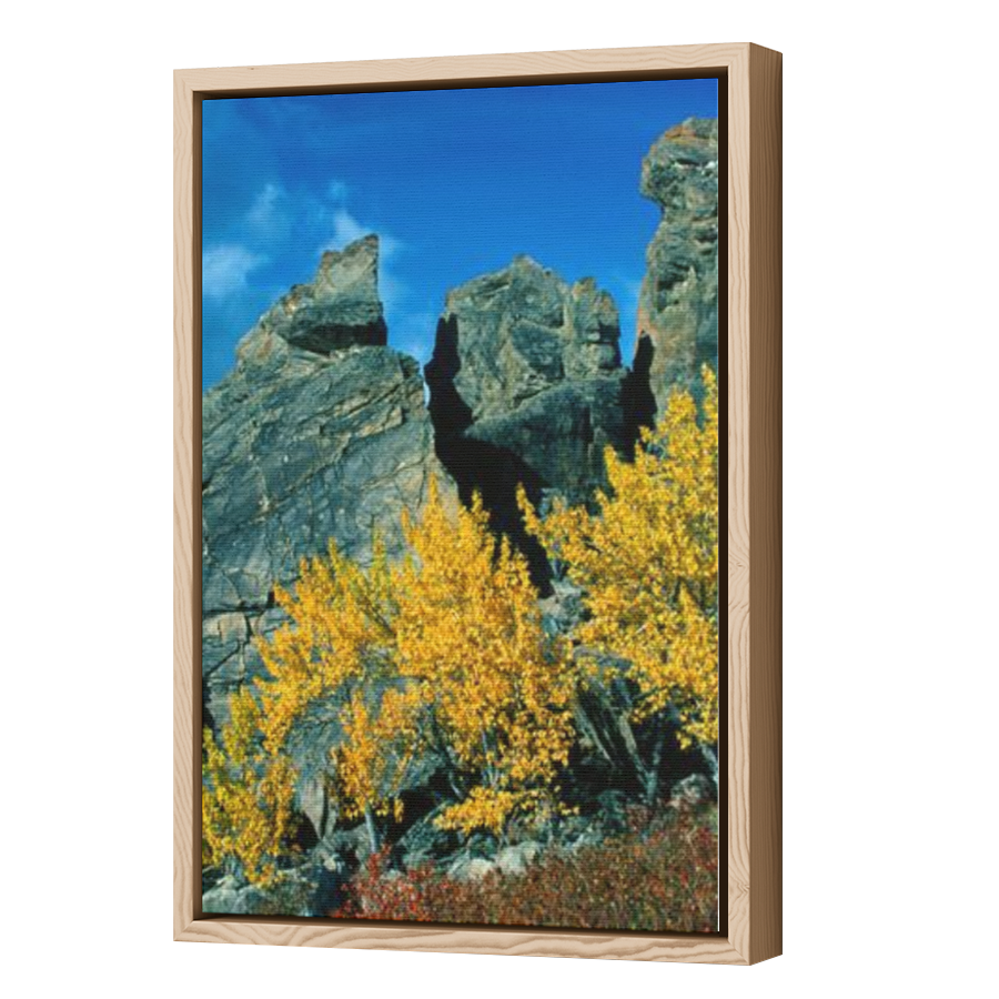 Thumbnail for Canvas - Wood Grain Floating Frame