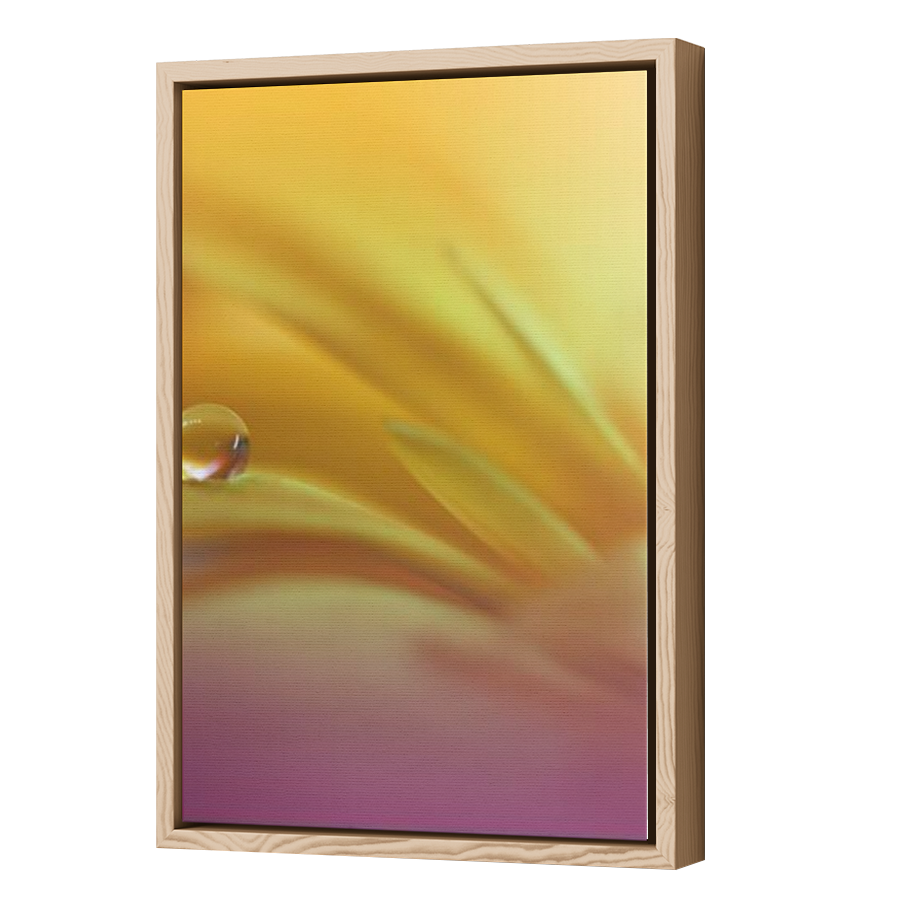 Thumbnail for Canvas - Wood Grain Floating Frame