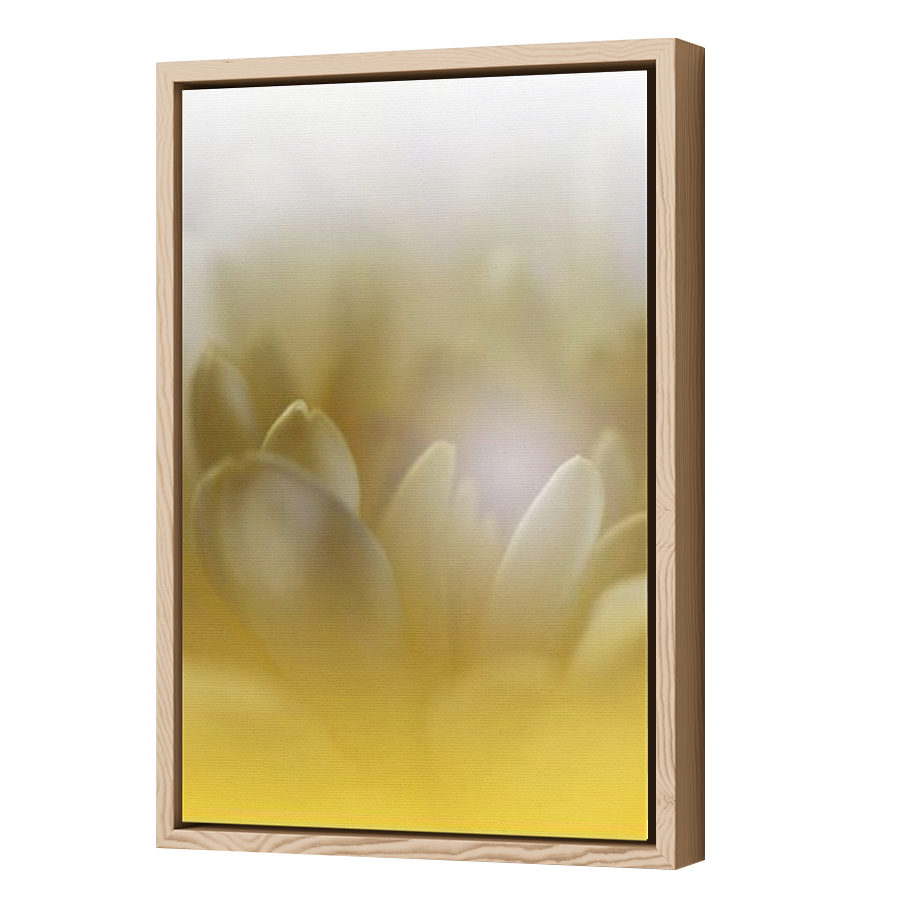 Thumbnail for Canvas - Wood Grain Floating Frame