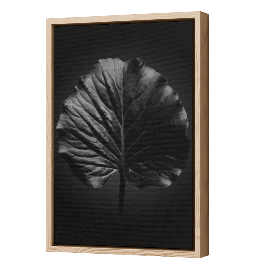Thumbnail for Canvas - Wood Grain Floating Frame