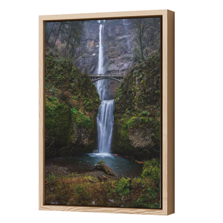 Thumbnail for Canvas - Wood Grain Floating Frame