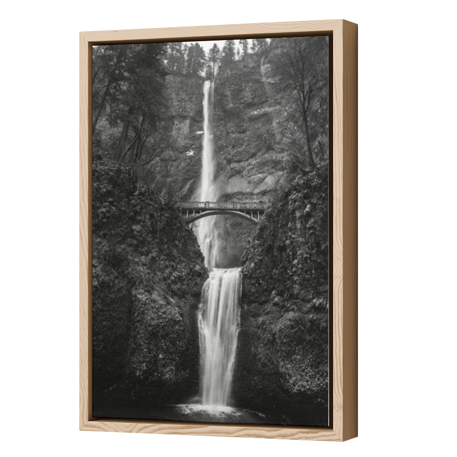 Thumbnail for Canvas - Wood Grain Floating Frame