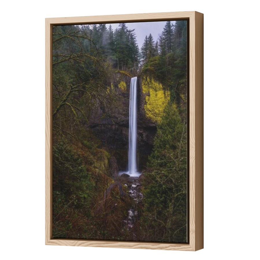 Thumbnail for Canvas - Wood Grain Floating Frame