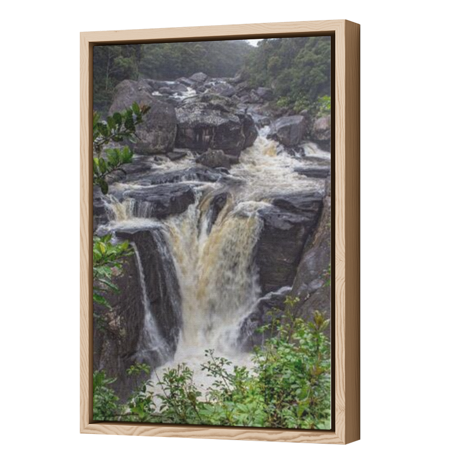 Thumbnail for Canvas - Wood Grain Floating Frame