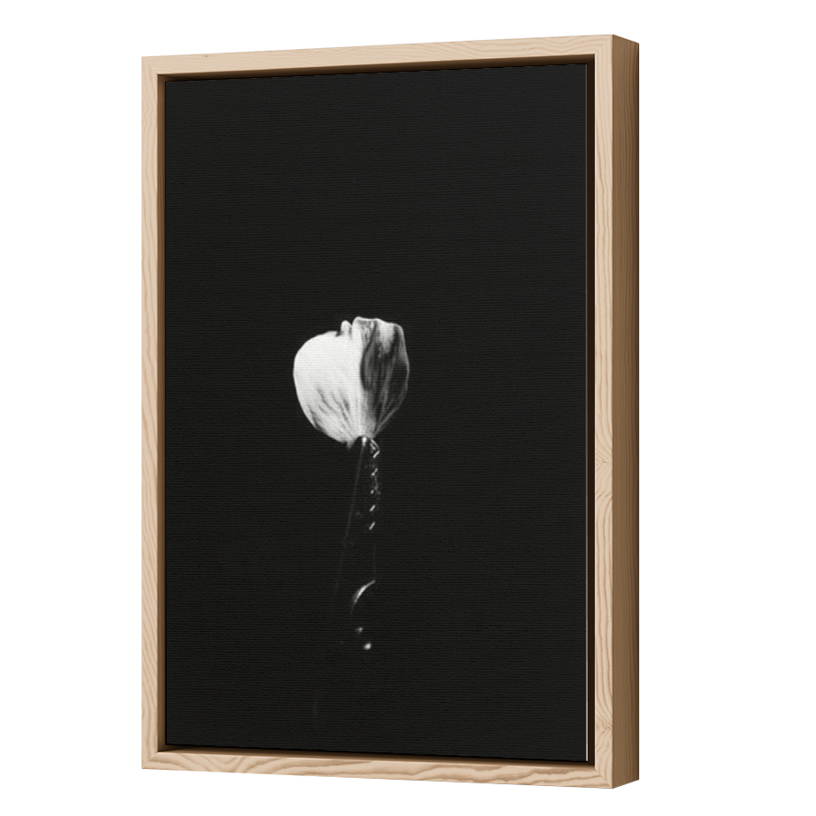 Thumbnail for Canvas - Wood Grain Floating Frame
