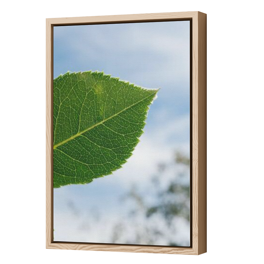 Thumbnail for Canvas - Wood Grain Floating Frame