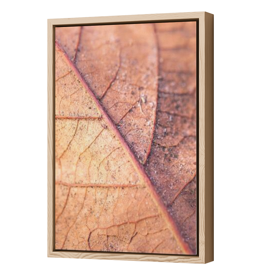 Thumbnail for Canvas - Wood Grain Floating Frame