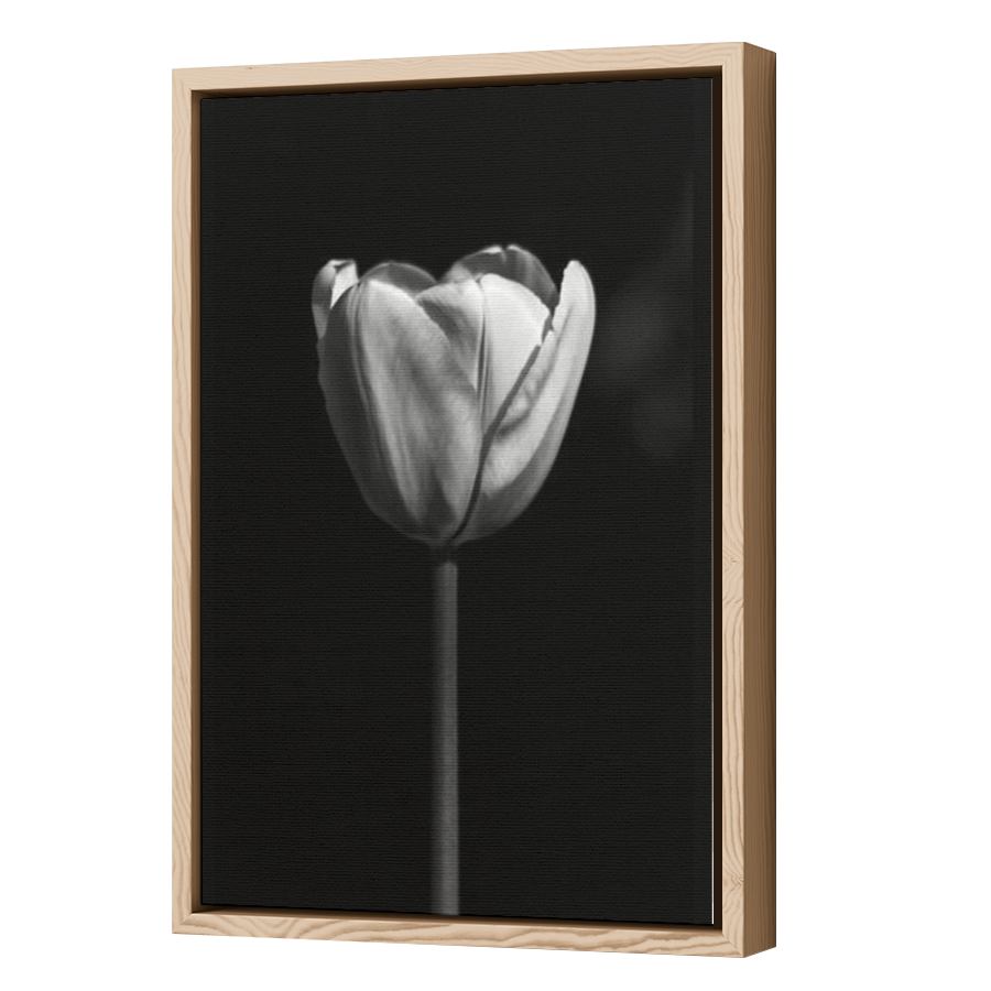 Thumbnail for Canvas - Wood Grain Floating Frame