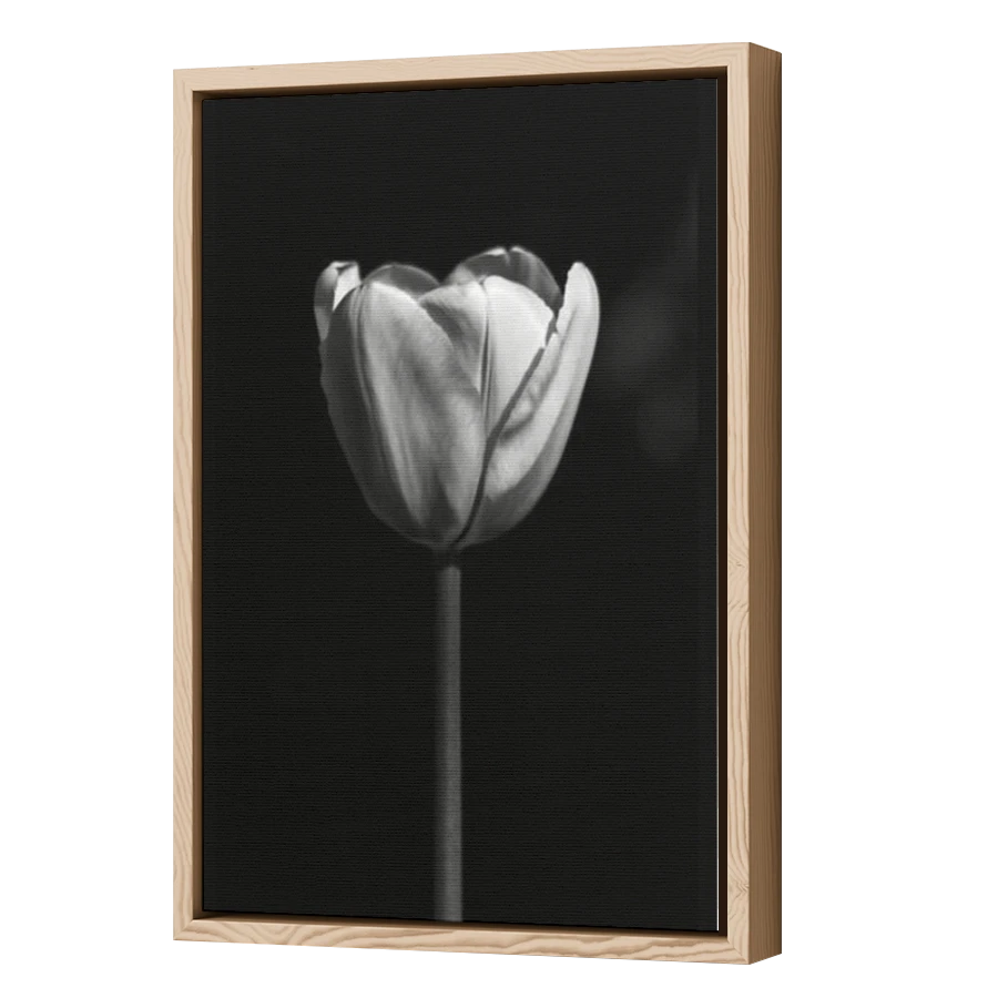 Thumbnail for Canvas - Wood Grain Floating Frame