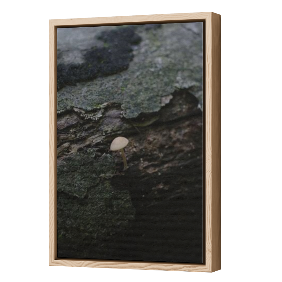 Thumbnail for Canvas - Wood Grain Floating Frame