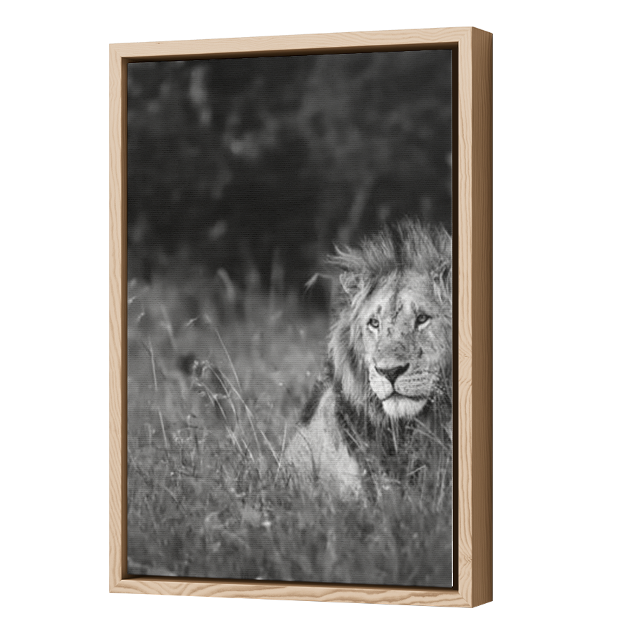 Thumbnail for Canvas - Wood Grain Floating Frame