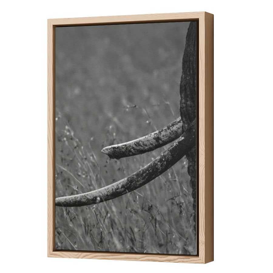 Thumbnail for Canvas - Wood Grain Floating Frame