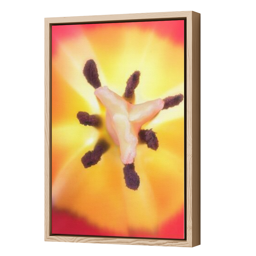 Thumbnail for Canvas - Wood Grain Floating Frame