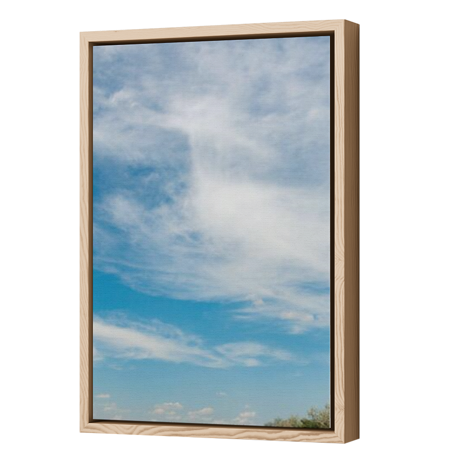 Thumbnail for Canvas - Wood Grain Floating Frame